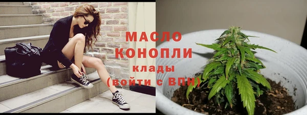 тгк Абаза