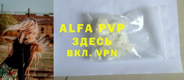 тгк Абаза