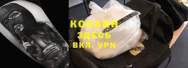 тгк Абаза