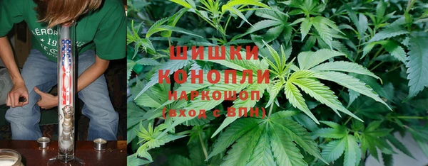 тгк Абаза