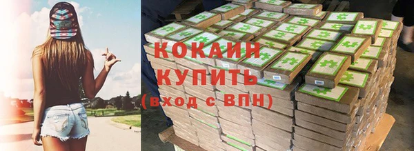 тгк Абаза