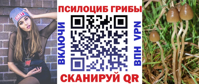 darknet как зайти  Суоярви  Галлюциногенные грибы MAGIC MUSHROOMS 